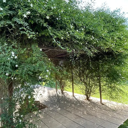 La Mesa Felix